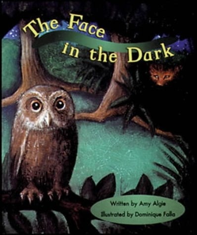 A St Set Sun Set A Face in the Dark