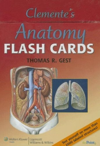 Clemente's Anatomy Flash Cards