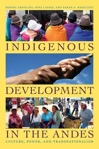Indigenous Development in the Andes Culture, Power, and Transnationalism