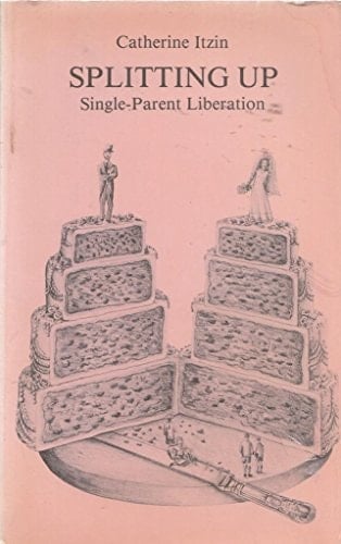 Splitting Up Single Parent Liberation
