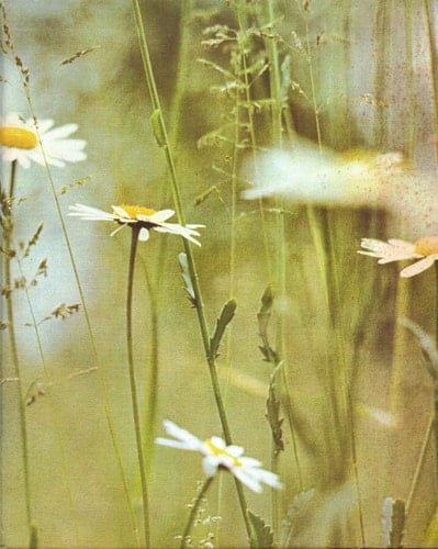 Book of the British countryside;