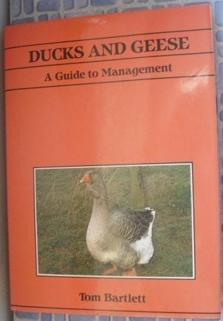Ducks and Geese