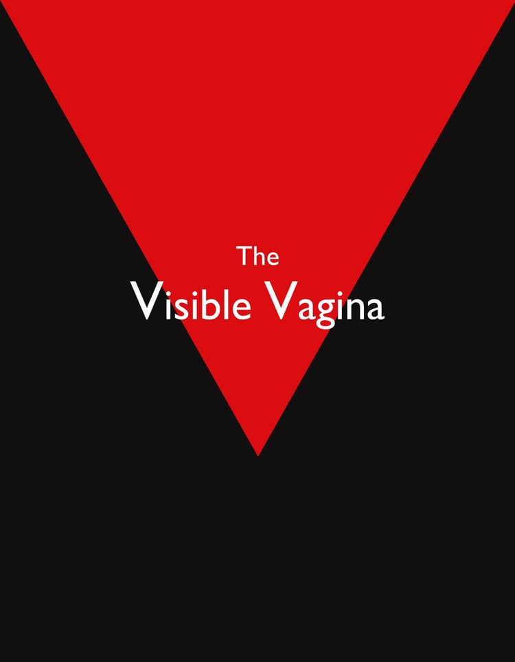 The Visible Vagina January 28 - March 20, 2010