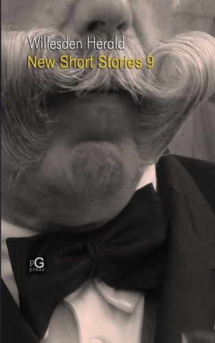 Willesden Herald New Short Stories 9