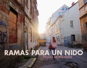 Ramas Para Un Nido