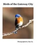 Birds of the Gateway City