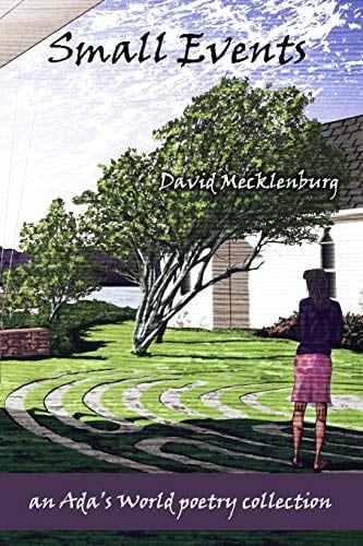 Small Events An Ada's World Poetry Collection