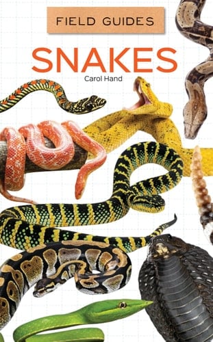 Snakes