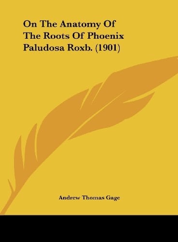 On The Anatomy Of The Roots Of Phoenix Paludosa Roxb. (1901)