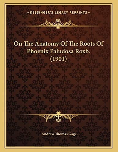 On The Anatomy Of The Roots Of Phoenix Paludosa Roxb. (1901)