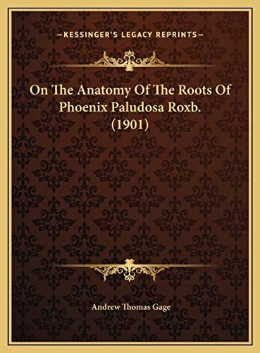 On The Anatomy Of The Roots Of Phoenix Paludosa Roxb. (1901)