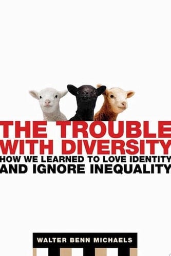 The Trouble with Diversity How We Learned to Love Identity and Ignore Inequality