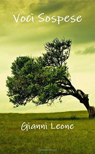 Voci Sospese (Italian Edition)