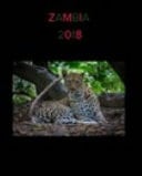 Zambia Safari 2018