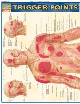 Trigger Points
            
                Quickstudy Academic