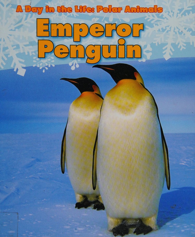Emperor Penguin