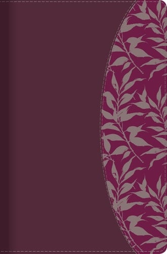 Rvr 1960 Biblia de Estudio Para Mujeres, Vino Tinto/Fucsia Símil Piel Con Índice