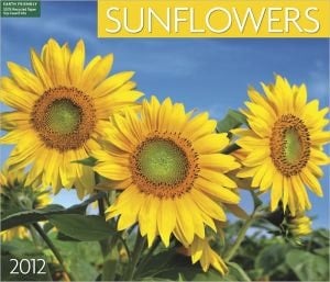 2012 Sunflowers Wall Calendar