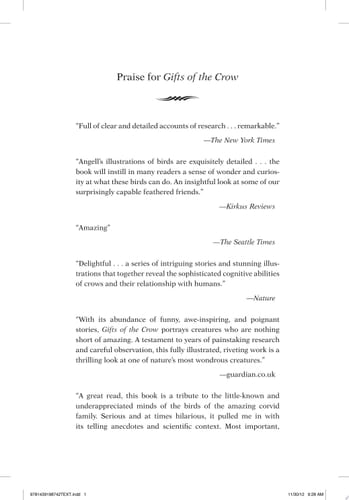 Gifts of the Crow