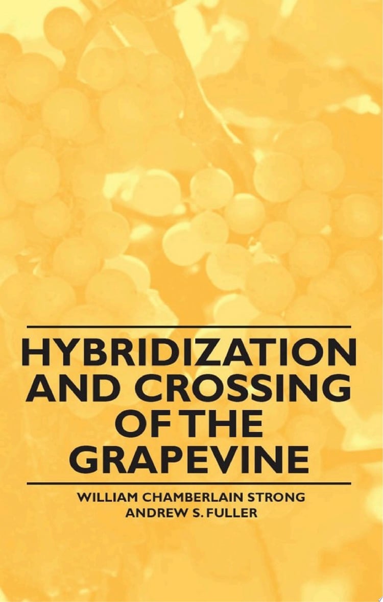 Hybridization and Crossing of the Grapevine