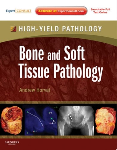 Bone and Soft Tissue Pathology E-Book A Volume in the High Yield Pathology Series