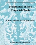Ultrastructure of the Male Urogenital Glands Prostate, Seminal Vesicles, Urethral, and Bulbourethral Glands
