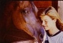 Creature Comforts An Anthology