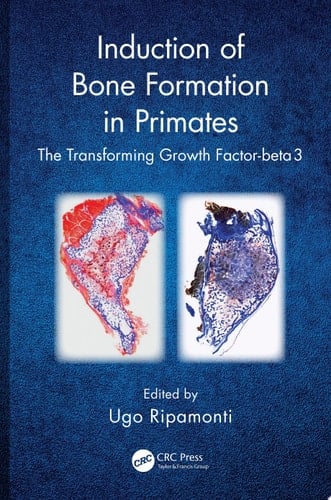 Induction of Bone Formation in Primates The Transforming Growth Factor-beta 3