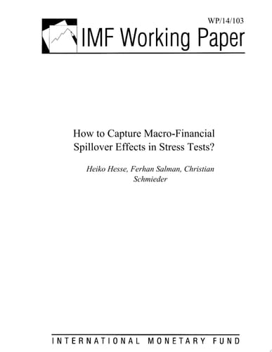 How to Capture Macro-Financial Spillover Effects in Stress Tests?
