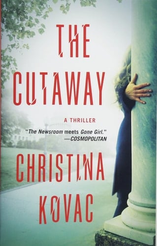 The Cutaway A Thriller