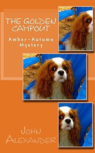 The Golden Campout Amber-Autumn Mystery