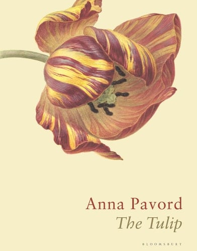 The Tulip The Story of a Flower That Has Made Men Mad