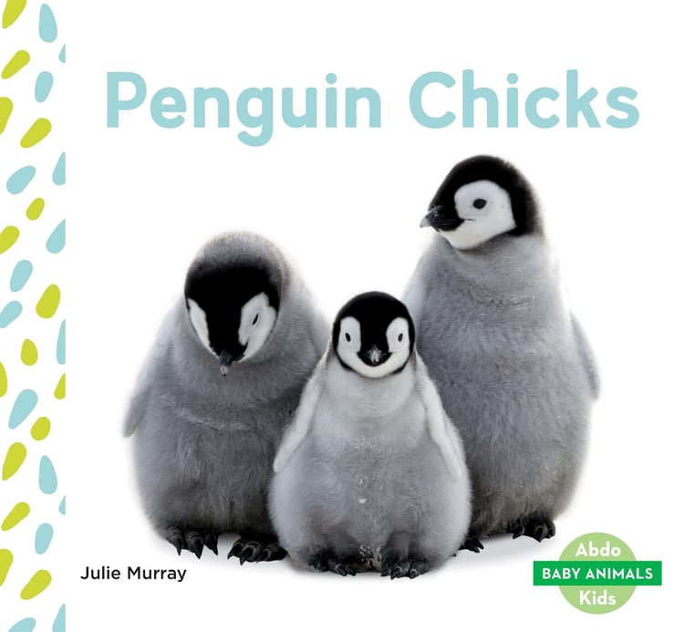 Penguin Chicks