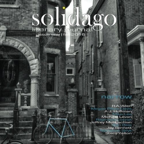 Solidago Fall 2016