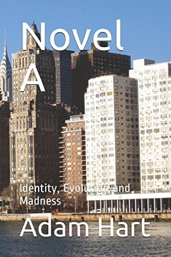 Novel A Identity, Evolution and Madness