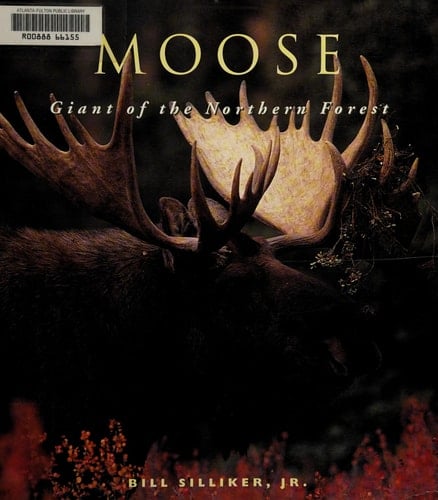 Moose: Giants of the Northern Forest