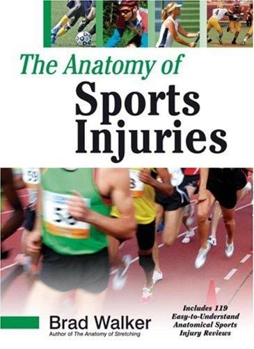 anatomy of sports injuries