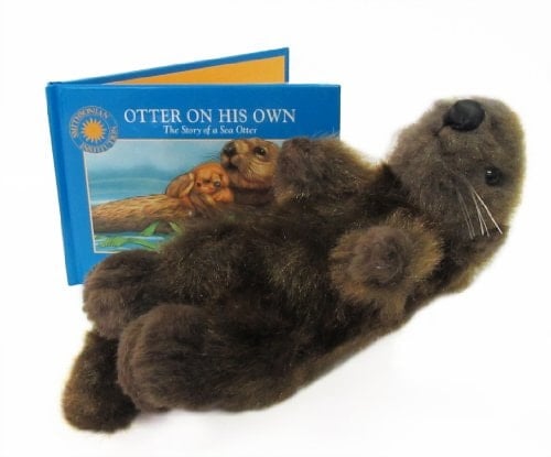 Otter on His Own The Story of a Sea Otter