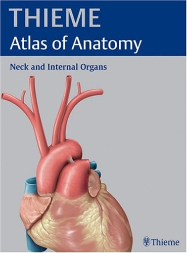 Thieme Atlas of Anatomy Neck and internal organs