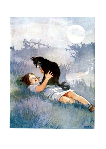 Girl Talking to Her Cat - Friendship Greeting Cards 6 Cards Individually Bagged With Envelopes & Header