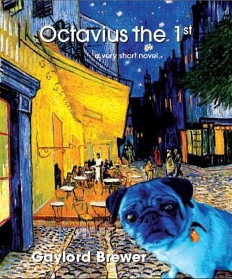 Octavius The 1st A Novella