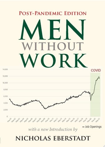 Men without Work Post-Pandemic Edition (2022)