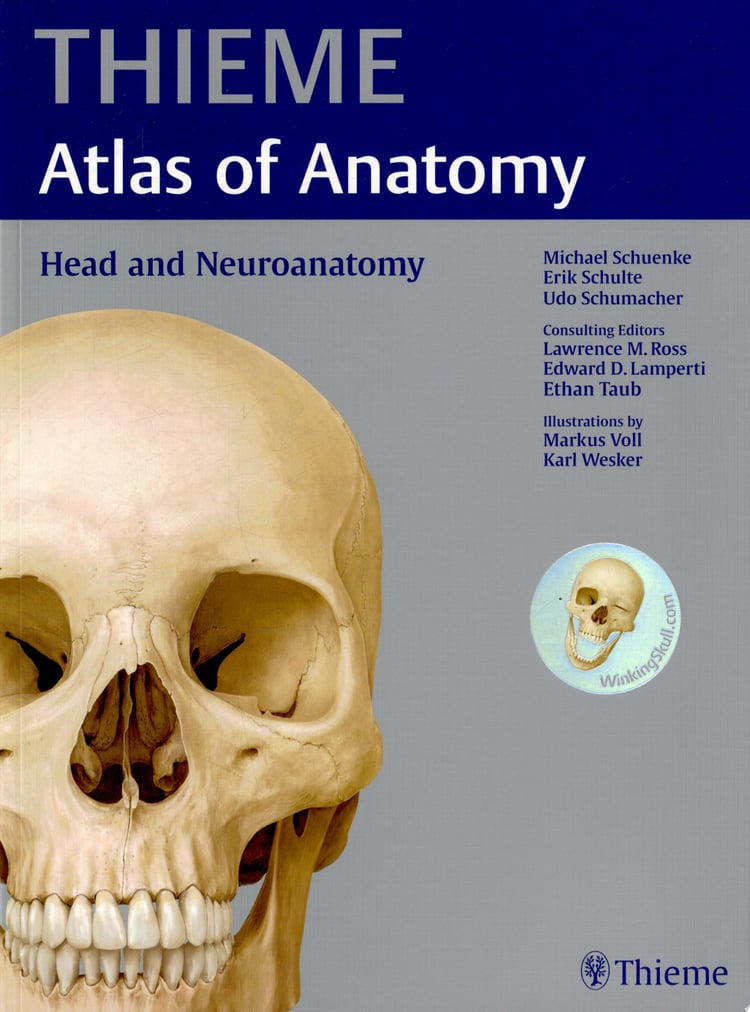 Head and Neuroanatomy (THIEME Atlas of Anatomy)