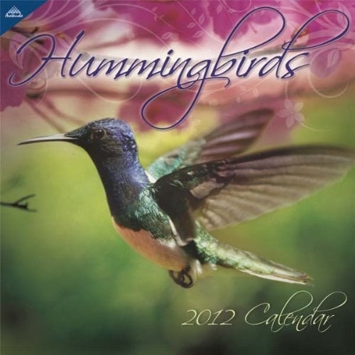 Hummingbirds 2012 Calendar