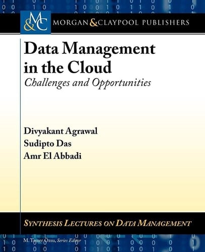 Data Management in the Cloud Challenges and Opportunities
