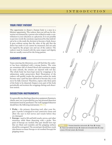 Grant's Dissector