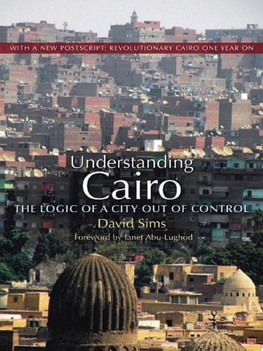 Understanding Cairo The Logic of a City Out of Control