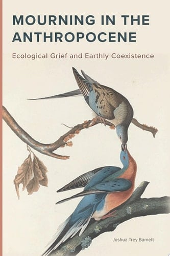 Mourning in the Anthropocene Ecological Grief and Earthly Coexistence