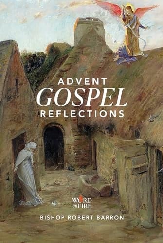 Advent Gospel Reflections 2024