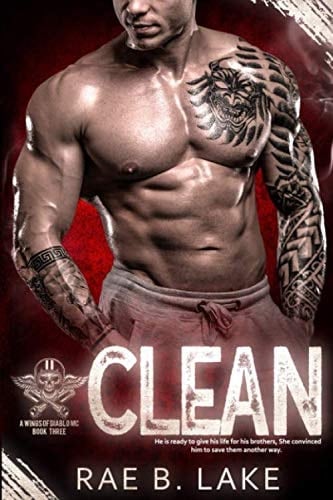 Clean A Wings of Diablo MC Novel